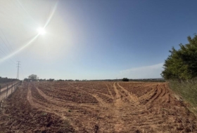 Pilas 11970&nbsp;m²