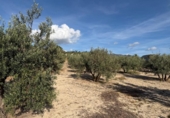 Non-developable land for sale on España, Arenas del Rey, ref: TR414738 photo