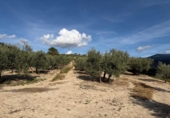Non-developable land for sale on España, Arenas del Rey, ref: TR414738 photo