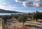 Non-developable land for sale on España, Arenas del Rey, ref: TR414738 photo
