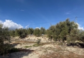 Non-developable land for sale on España, Arenas del Rey, ref: TR414738 photo