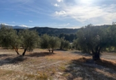Non-developable land for sale on España, Arenas del Rey, ref: TR414738 photo