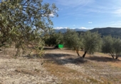 Non-developable land for sale on España, Arenas del Rey, ref: TR414738 photo
