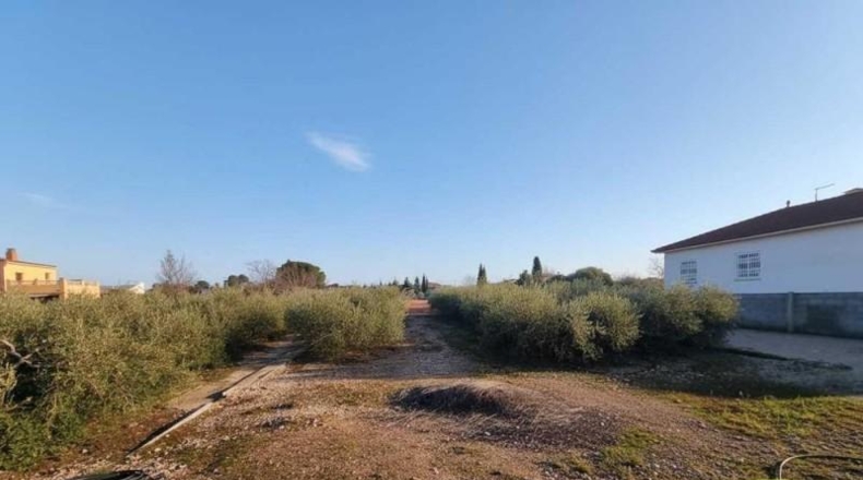 Tarragona - Alcover - 1026m2