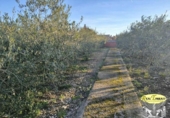 Suelo urbano en venta en la España, Alcover, ref: TR374199 foto