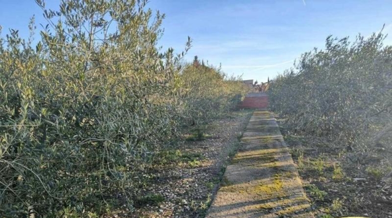 Tarragona - Alcover - 1026m2