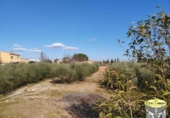 Suelo urbano en venta en la España, Alcover, ref: TR374199 foto