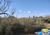 Suelo urbano en venta en la España, Alcover, ref: TR374199 foto
