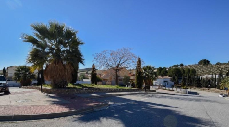 Granada - Alhendín - 512m2