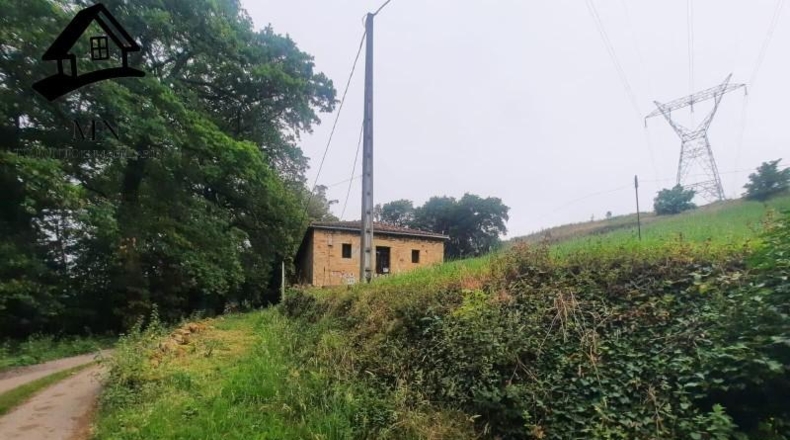 Cantabria - Villacarriedo - 24492m2