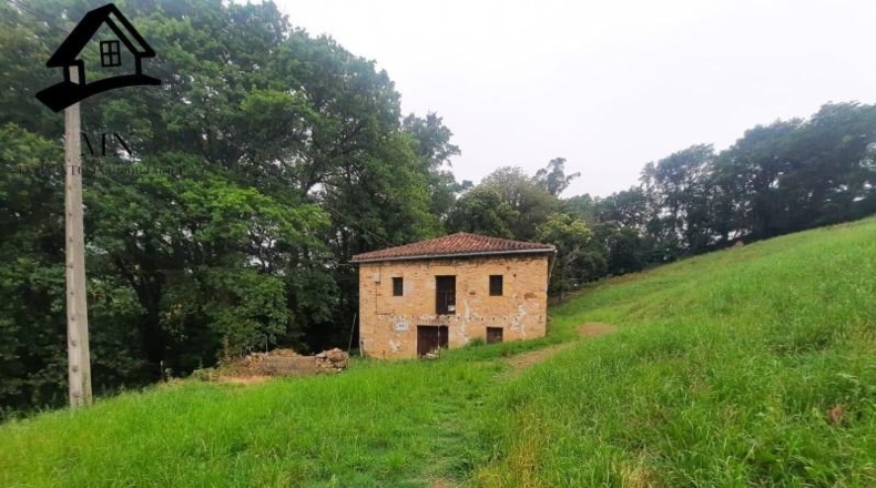 Cantabria - Villacarriedo - 24492m2