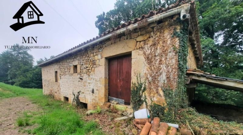Cantabria - Villacarriedo - 24492m2