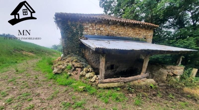 Cantabria - Villacarriedo - 24492m2