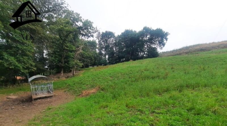 Cantabria - Villacarriedo - 24492m2