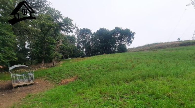 Cantabria - Villacarriedo - 24492m2