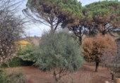 Terreno no urbanizable en venta en la España, Viabrea, ref: TR414764 foto