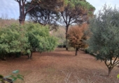 Terreno no urbanizable en venta en la España, Viabrea, ref: TR414764 foto