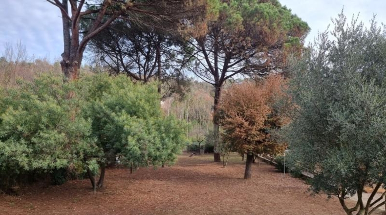 Gerona - Viabrea - 1036m2
