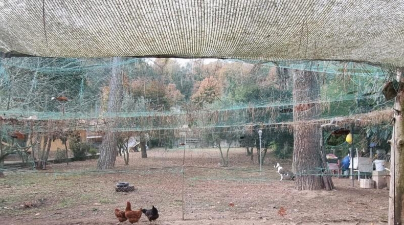 Gerona - Viabrea - 1036m2