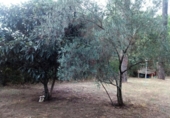 Terreno no urbanizable en venta en la España, Viabrea, ref: TR414764 foto