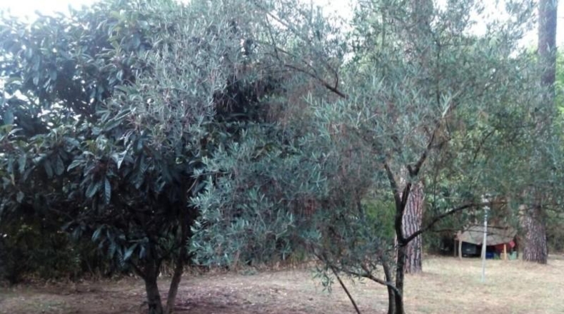 Gerona - Viabrea - 1036m2