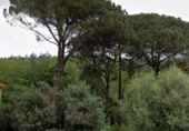 Terreno no urbanizable en venta en la España, Viabrea, ref: TR414764 foto
