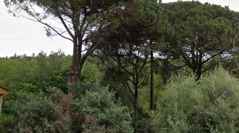 Gerona - Viabrea - 1036m2