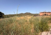 Suelo urbano en venta en la España, Santa Oliva, ref: TR414749 foto