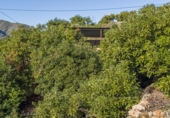 Chalet independiente con terreno en venta en la España, Vélez de Benaudalla, ref: TR414762 foto