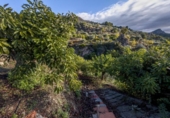 Chalet independiente con terreno en venta en la España, Vélez de Benaudalla, ref: TR414762 foto