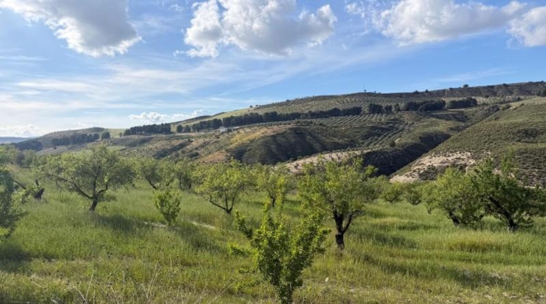 Granada - Аренас-дель-Рей - 30575m2