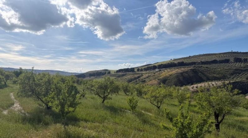 Granada - Аренас-дель-Рей - 30575m2