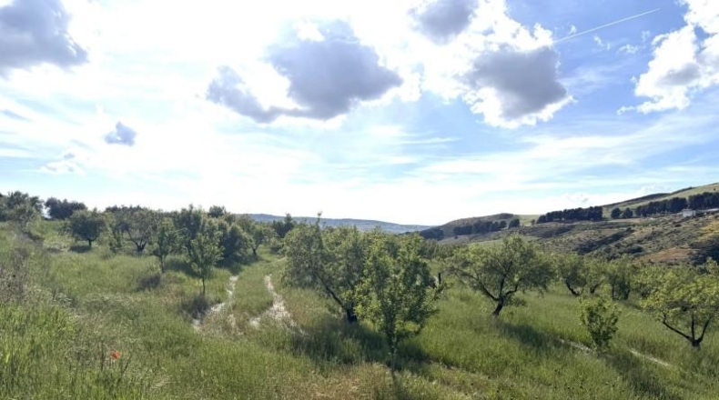 Granada - Аренас-дель-Рей - 30575m2