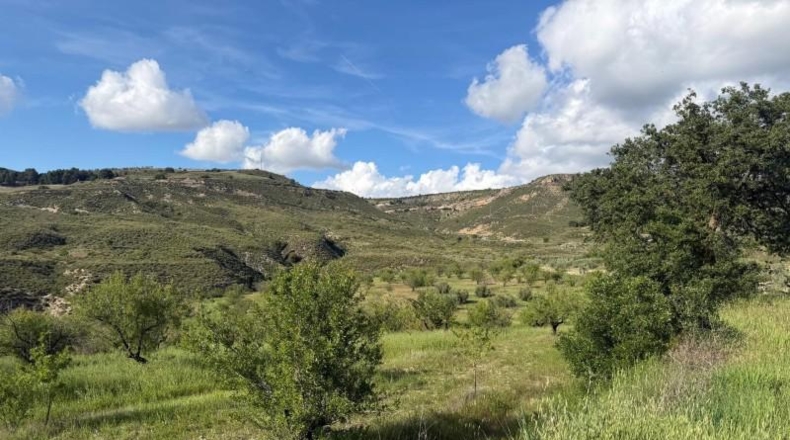 Granada - Аренас-дель-Рей - 30575m2