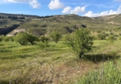 Terreno no urbanizable en venta en la España, Arenas del Rey, ref: TR414753 foto