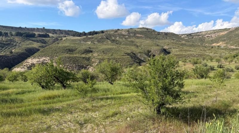 Granada - Аренас-дель-Рей - 30575m2