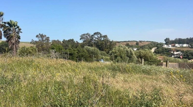 Cádiz - Barbate - 1000m2