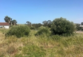Terreno no urbanizable en venta en la España, Barbate, ref: TR414761 foto