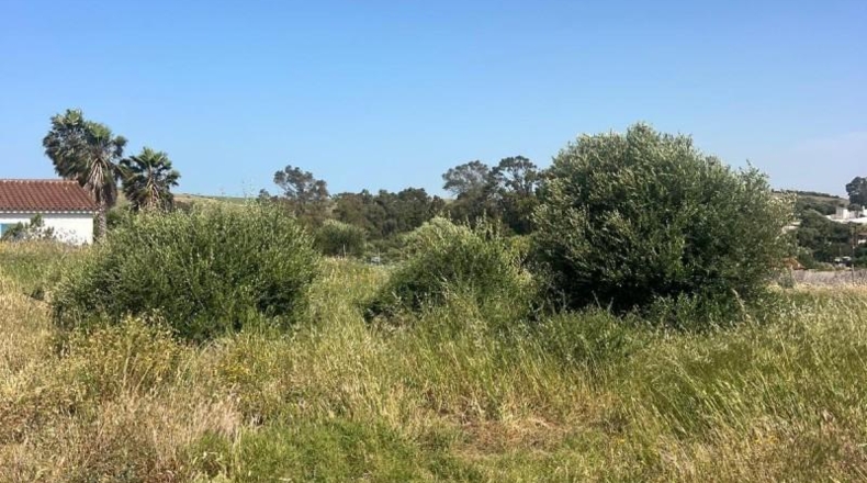 Cádiz - Barbate - 1000m2