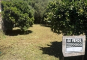 Suelo urbano en venta en la España, Casares, ref: TR389799 foto
