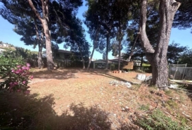 Castellón de la Plana 946&nbsp;m²