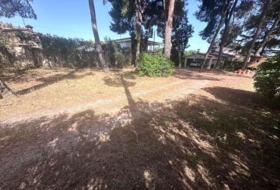 Castellón de la Plana 946&nbsp;m²