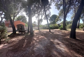 Castellón de la Plana 946&nbsp;m²