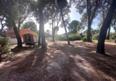 Suelo urbano en venta en la España, Castellón de la Plana, ref: TR414765 foto