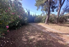 Castellón de la Plana 946&nbsp;m²