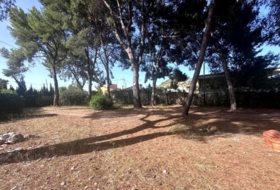 Castellón de la Plana 946&nbsp;m²
