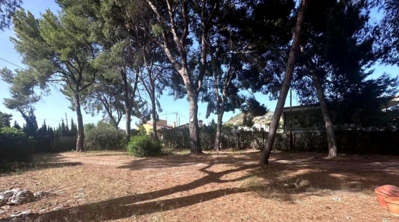 Castellón - Кастельон-де-ла-Плана - 946m2