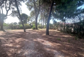 Castellón de la Plana 946&nbsp;m²