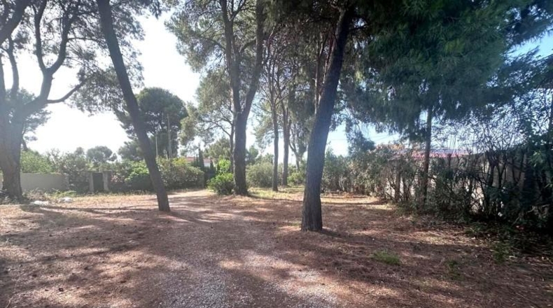 Castellón - Кастельон-де-ла-Плана - 946m2