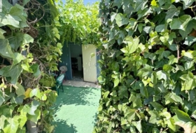Foto 7